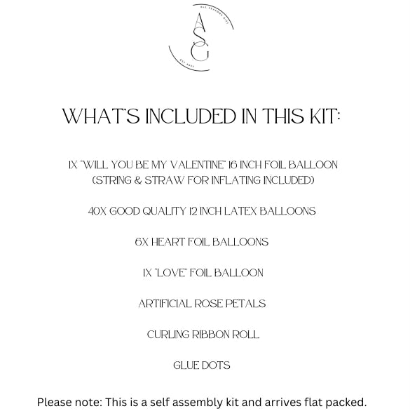 Valentine’s Day proposal kit (self set up)